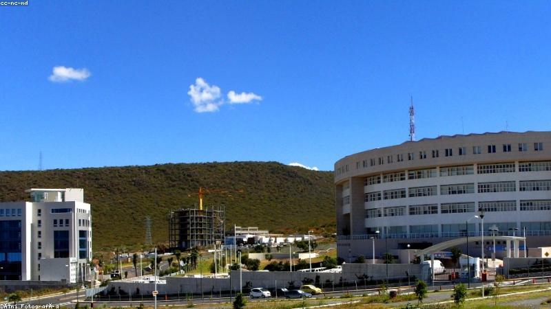 搜番平台首页智能搜索界面展示